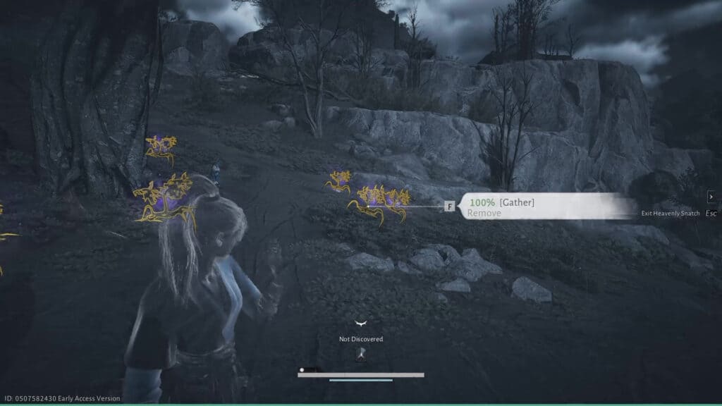 Where Winds Meet Heavenly Snatch