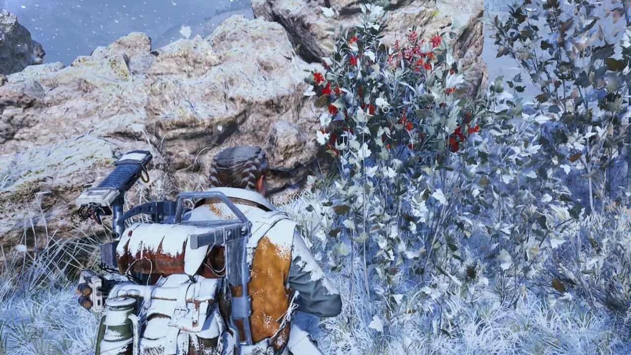 Candleberries en ARC Raiders: cómo conseguirlas y dónde encontrarlas